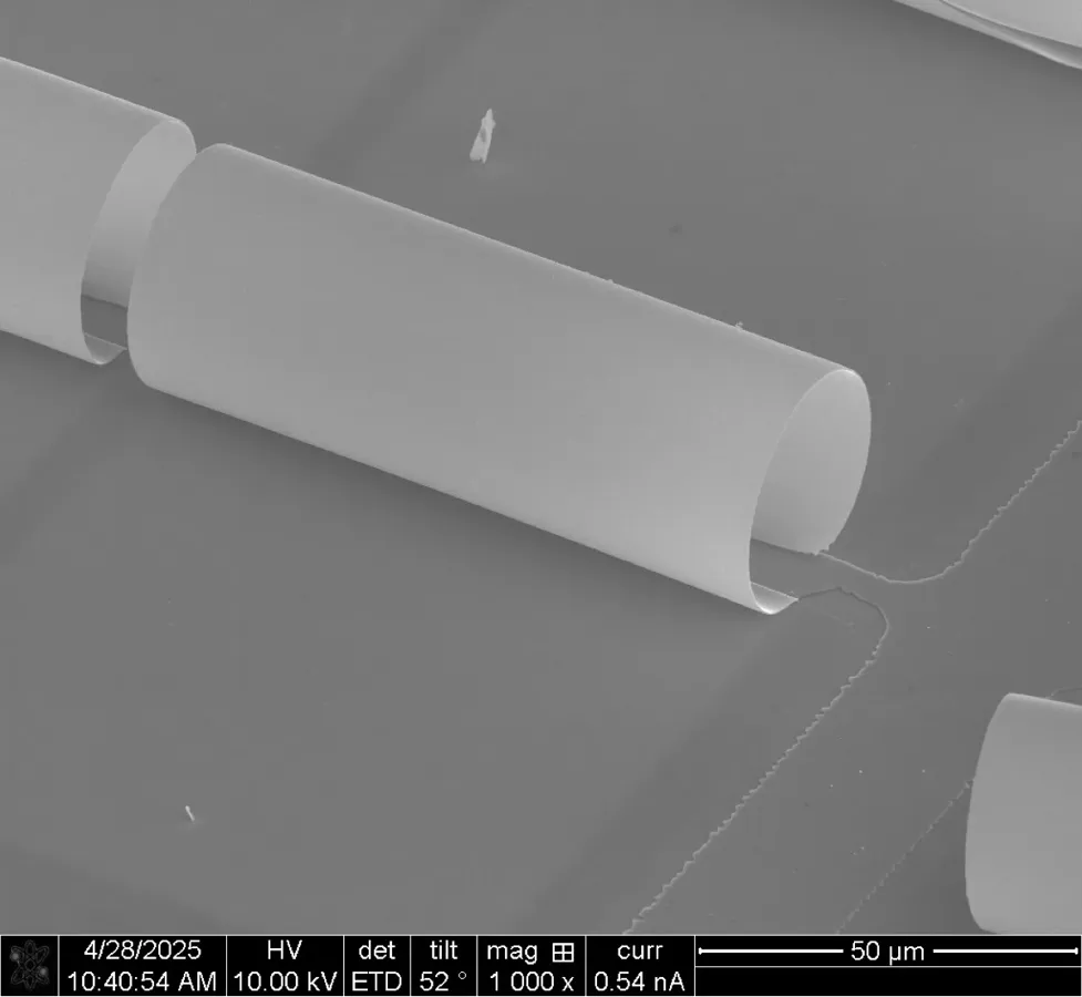 MEMS mirror array detail